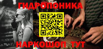 крисы Краснодар